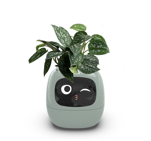 EcoSmart Planter