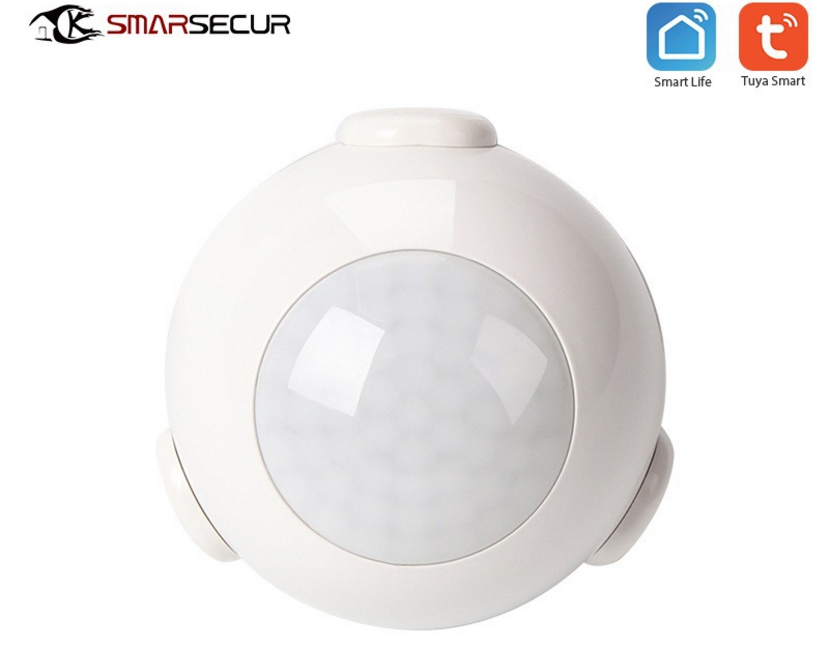 IntelliSense Home Motion Detector