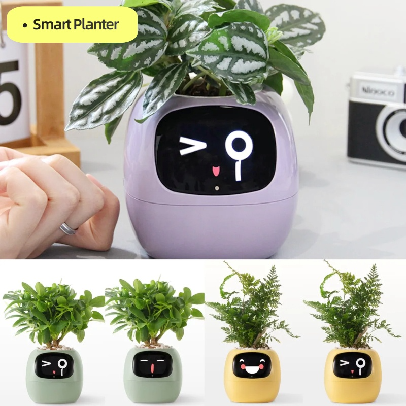 EcoSmart Planter