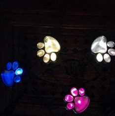 Luminous Bear Paw Solar Light