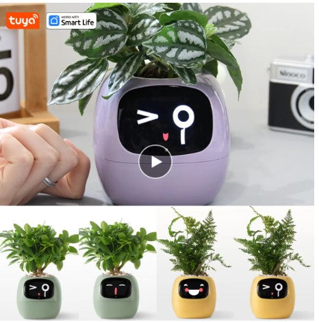 AI Plant Buddy