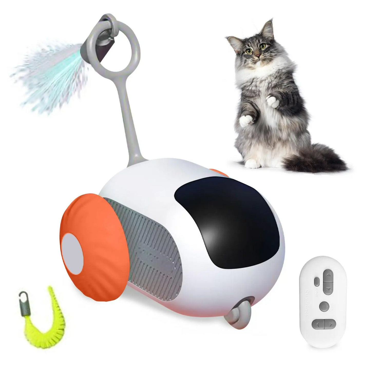 AutoChase Pet Play Car