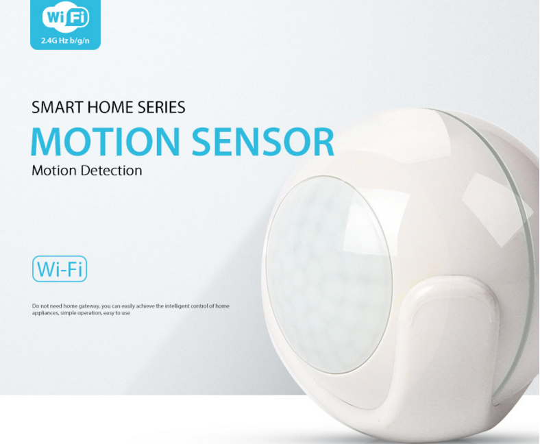 IntelliSense Home Motion Detector